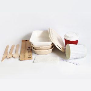 Biodegradable Tableware Set