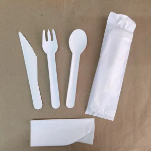 Biodegradable paper Knife Fork Disposable