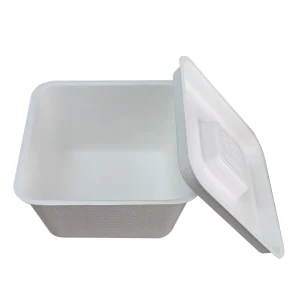 Disposable Bagasse Dessert Bowl with