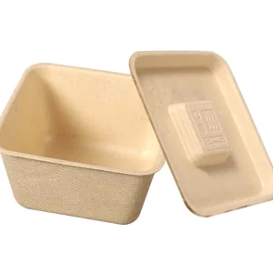 Disposable Bagasse Dessert Bowl with
