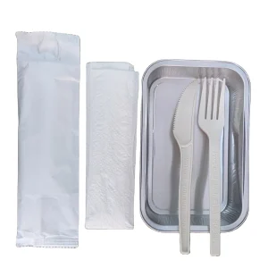 Eco Friendly Disposable Corn Starch