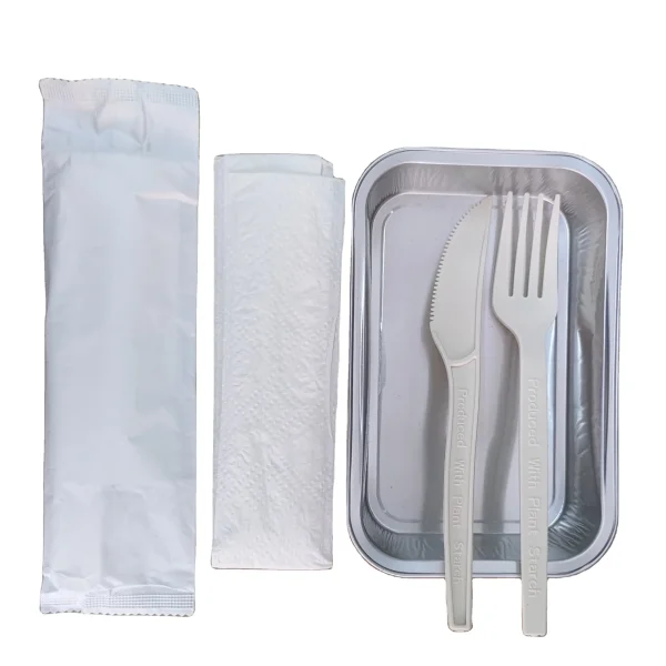 Eco Friendly Disposable Corn Starch