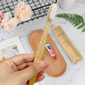 Customized Dental Care Kit Airline
