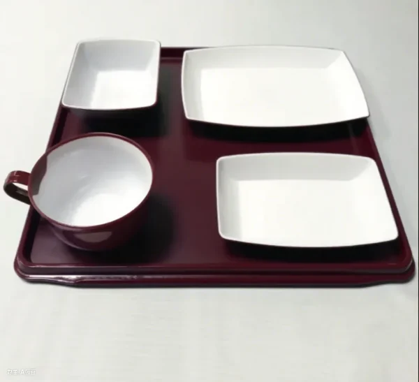OEM ABS Airline Tableware Food