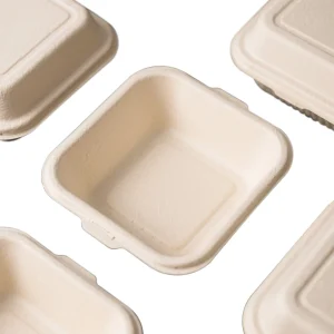 Tableware Product Disposable Bagasse Food